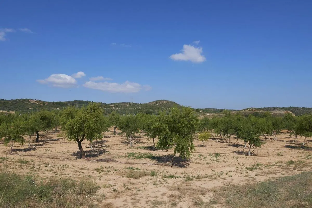 La Casa Del Lino Villa Torrebeses Holiday home