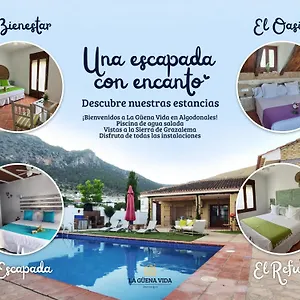 https://la-gueena-vida.es-andalucia.com