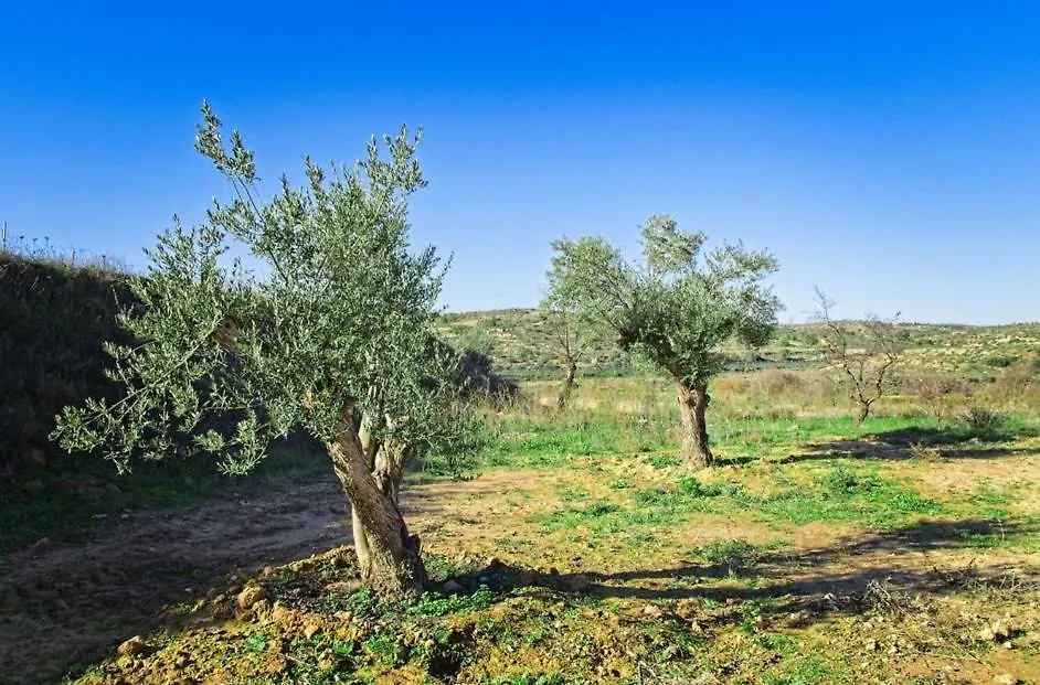 Villa La Casa del Lino Torrebeses