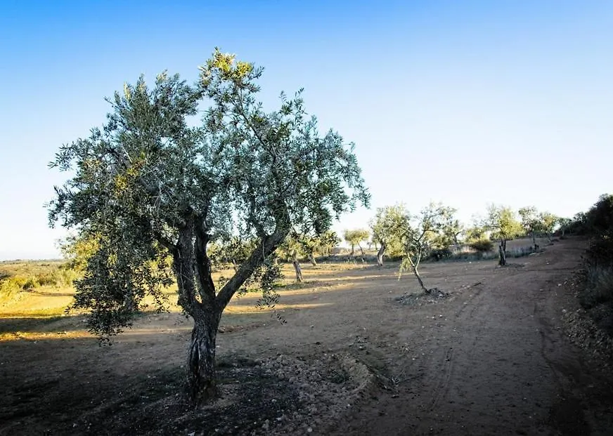 Сasa de vacaciones Villa La Casa del Lino Torrebeses